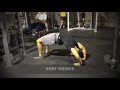 44 Best (Beginner) Bodyweight Exercises Ever!