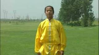 中国武術　少林拳　達磨杖　契木　千切木　乳切木 Women's Taijiquan 女子太极拳第1名吉林队张黎9.64分ji lin