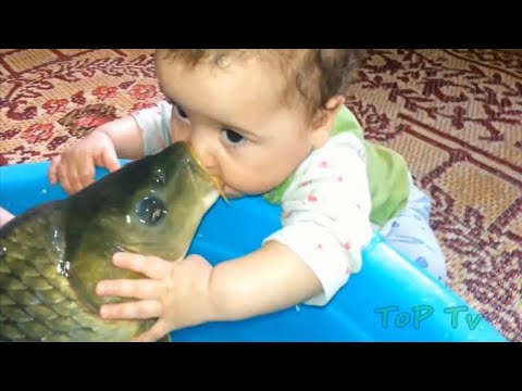 Funny video - Baby playing with fish