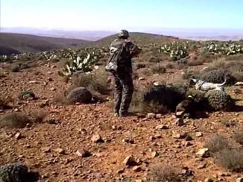 Les films documentaires sur la nature à la chasse à la pêche
