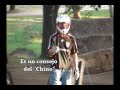 
Es un consejo del Chino,