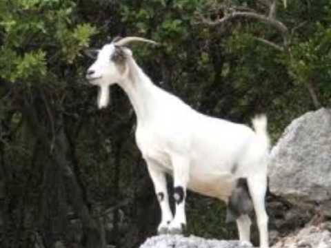 branle un inconnu j encule une salope branle un inconnu j encule une salope