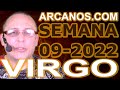 Video Horscopo Semanal VIRGO  del 20 al 26 Febrero 2022 (Semana 2022-09) (Lectura del Tarot)