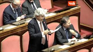 27 06 13 RAZZI AULA SENATO INTERVENTO INCERTO SU TURCHIA - VISTATV