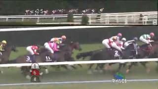 H25 第30回 マイルチャンピオンシップ(GI) / トーセンラー 武 豊 【競馬】