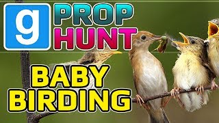 Baby Birding (Garry's Mod Prop Hunt)