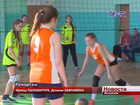 Первенство по волейболу среди школьников Искитима