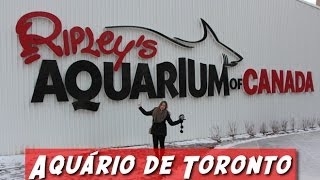 Ripley's Aquarium Toronto ❄ Dia 23 #viciodeferias