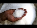 Xylitol Gum As Natural Sweetener