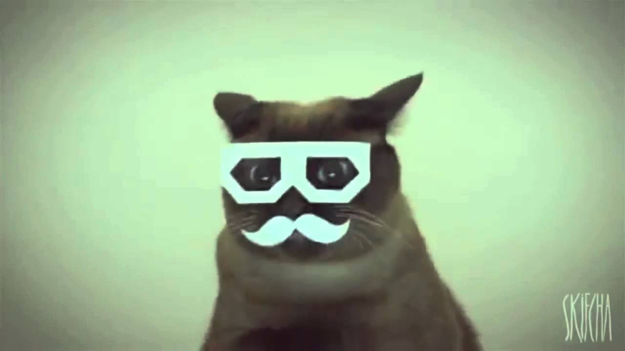 dubstep cat extended YouTube