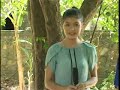 Thăm nhà đại tướng Võ Nguyên Giáp