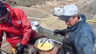 Jim Carroll walleye Jim Carroll walleye
