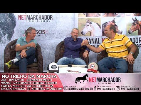 #48 - NO TRILHO DA MARCHA - CARLOS AUGUSTO SACCHI - MANGALARGA MARCHADOR