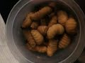 Món ăn kinh dị nhất thế giới