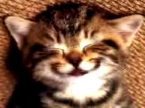 Sweet seventeen sarah azhari - YouTube
