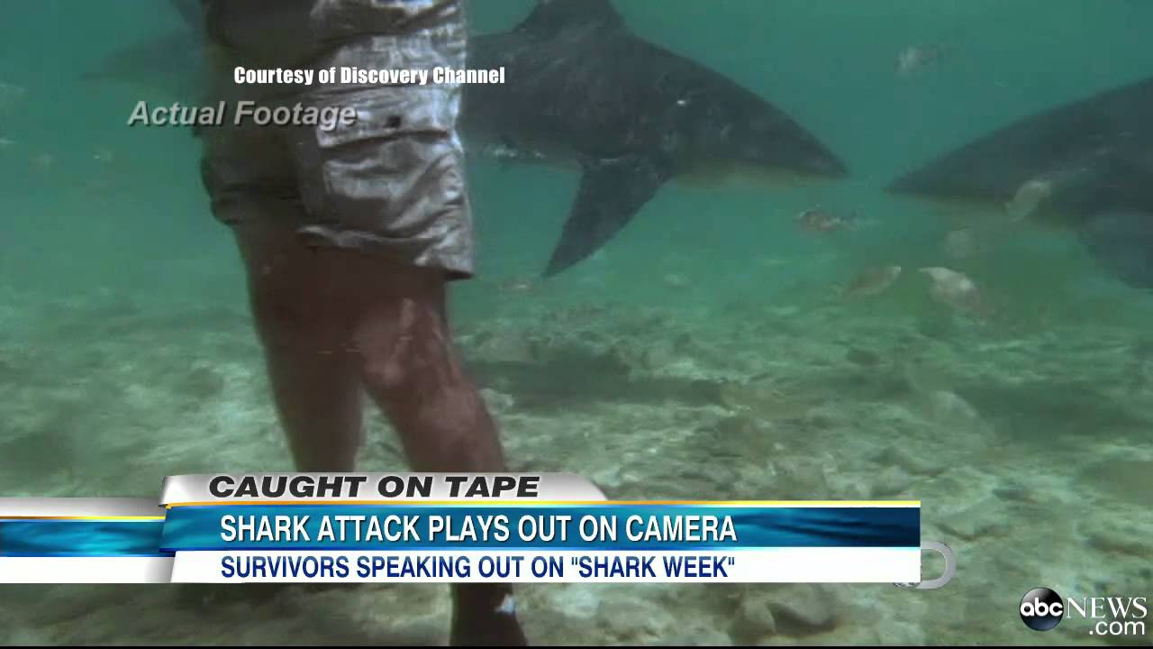 Shark Week 2013: Shark Attack Caught on Tape in 1994 Featured in 'I