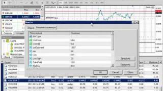 Traiding forex ru