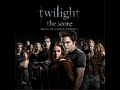 Twilight Score: Tracking