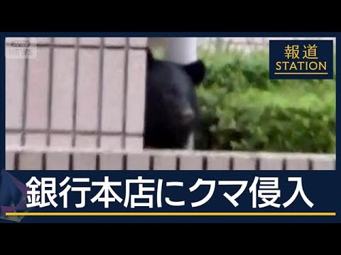 盛岡のクマ捕獲と秋田自衛隊派遣の背景について サムネイル