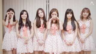 Apink Official Fan Club [PANDA] 2기 모집 영상