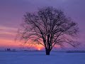 Relaxing Meditation Music with Inspiring Quotes - A Peaceful Moment
