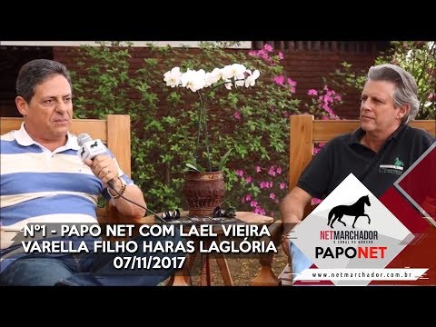 #1 - PAPO NET - Bate-papo com Lael Vieira Varella Filho HARAS LAGLÓRIA e Fernando Mello Vianna