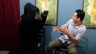 Best of Just For Laughs Gags - Waiting Room Pranks