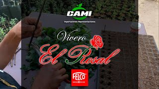 Vivero El Rosal: Más de 30 Años Cultivando Naturaleza y Pasión en Tarija