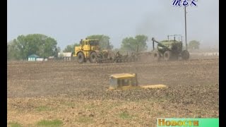 В Искитимском районе процент гибели озимых культур самый высокий в области