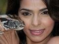 Mallika - e - Hot Hissss - tory