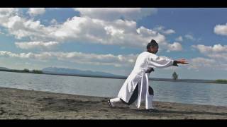 Wudang Kung Fu 武当太乙五行拳 Wudang Taiyi Five Element Form