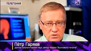 ТВ-3 ведет расследование "Телегония"
