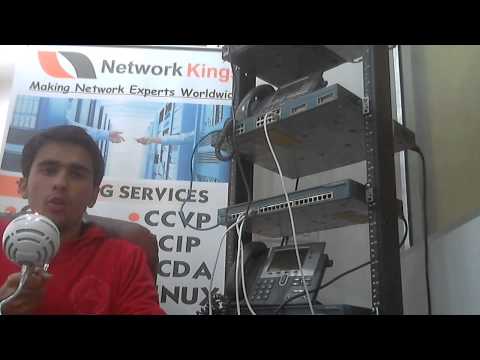 Network Kings Chandigarh Others(2)