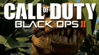 Black Ops 2 - Confusing Question Fun!  (Funny Black Ops 2 Moments)