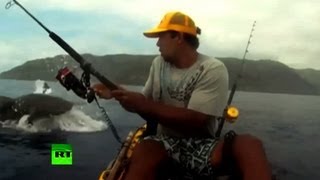 Акула украла призовую добычу на турнире рыболовов (ВИДЕО)
