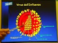 Vaccinazione antinfluenzale Vaccinazione antinfluenzale