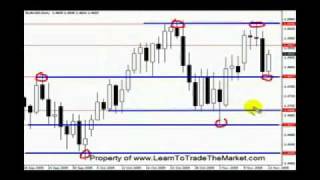 Teknik forex fibo musang