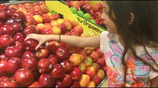 Frutas, Torta de Frango e Mais