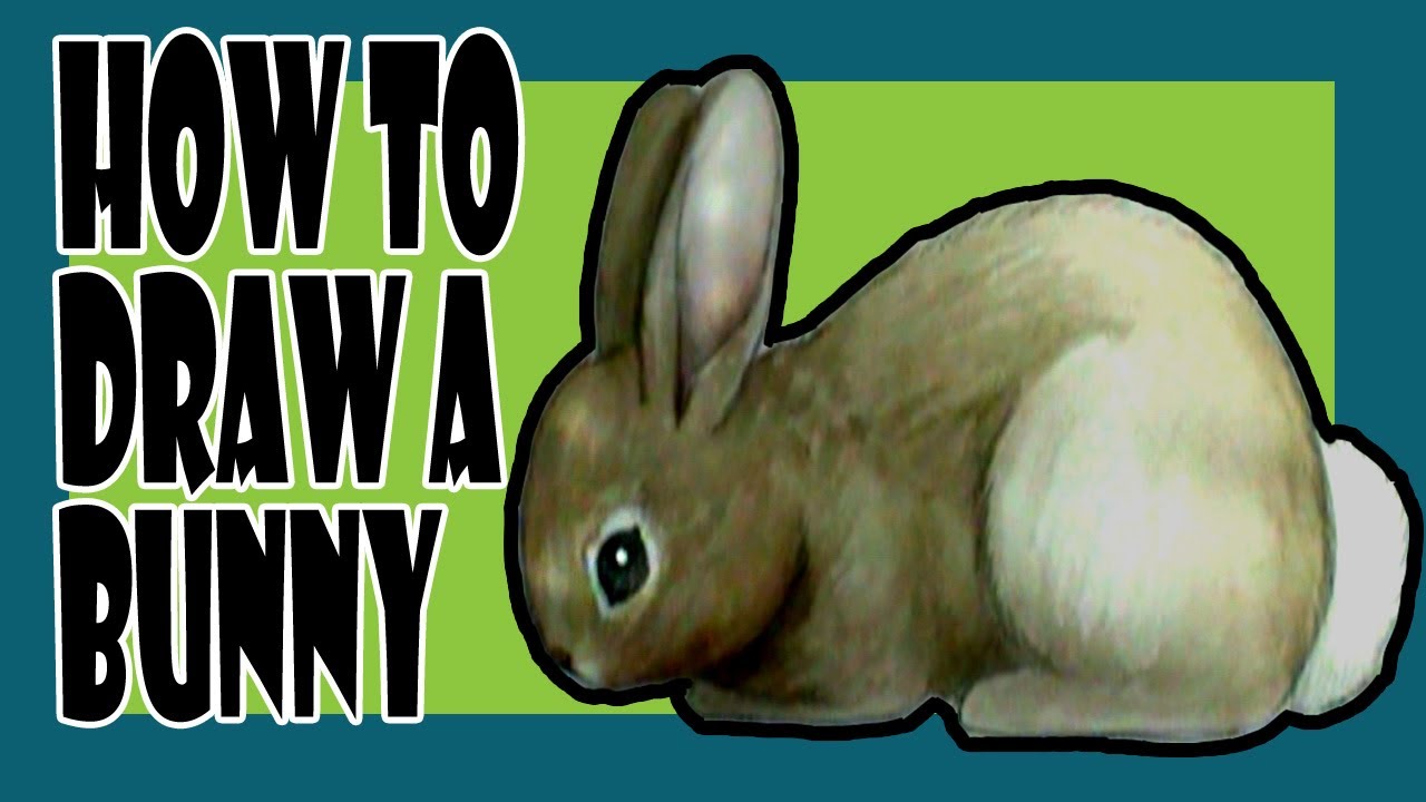 How to draw a bunny - YouTube