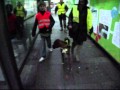 EDUCATION CANINE N°5 CYNOLOR