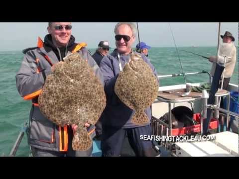 Turbot fishing out of Weymouth on the banks