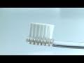 朝に歯を磨くと夜までツルツルでいられる歯ブラシ「MISOKA」 #DigInfo