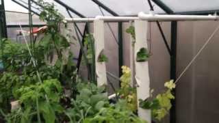 New Aquaponics Growbed online plus 3 Strawberry Towers!