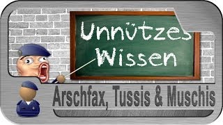 Unnützes Wissen: Arschfax, Tussis & Muschis