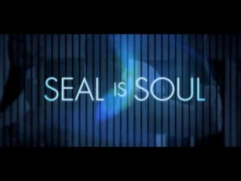 Seal - Soul Sizzle Reel