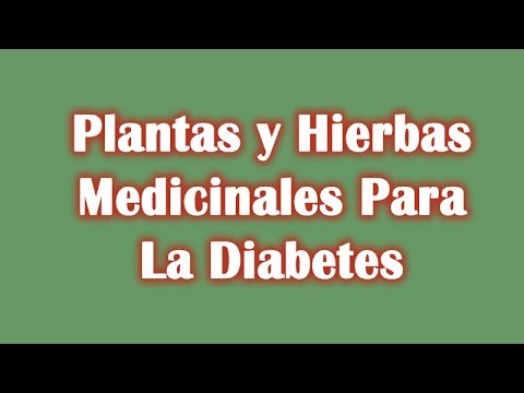 Plantas y Hierbas Medicinales Para La Diabetes - YouTube Plantas y Hierbas Medicinales Para La Diabetes - YouTube