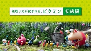 ピクミン3 段取り力が試される、ピクミン 初級編