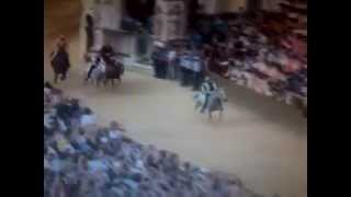 Palio di siena 2 luglio 2013 oca wins