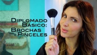 Diplomado Básico: Brochas y Pinceles - Academia Anastassia