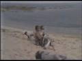 Brigitte Bardot interview 11